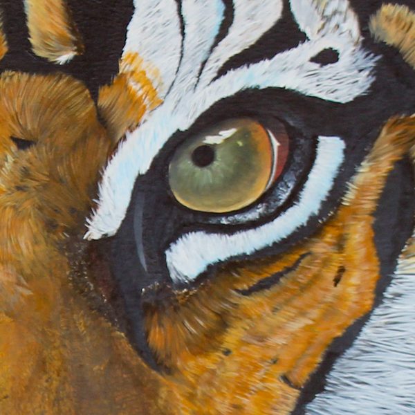 Detail of The Tiger: the eye on the right of the painting and the fur around it, painted by hand